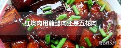 红烧肉用前腿肉还是五花肉