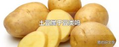 土豆属于豆类吗