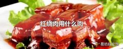 红烧肉用什么肉