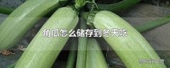 角瓜怎么储存到冬天吃