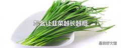 怎么让韭菜越长越粗