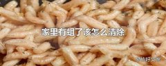 家里有蛆了该怎么清除