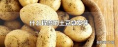 什么程度的土豆算发芽