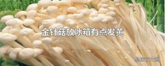 金针菇放冰箱有点发黄