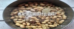 煮花生需要放什么调料?