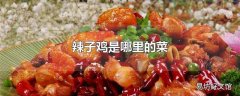 辣子鸡是哪里的菜