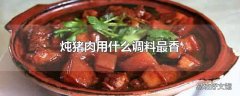 炖猪肉用什么调料最香