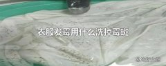 衣服发霉用什么洗掉霉斑