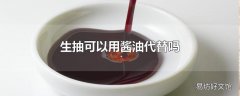 生抽可以用酱油代替吗