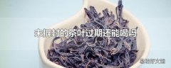 未拆封的茶叶过期还能喝吗