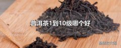 普洱茶1到10级哪个好