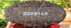 普洱茶是什么茶