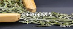 白茶是绿茶系列吗