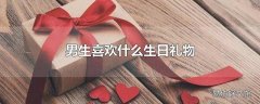 男生喜欢什么生日礼物