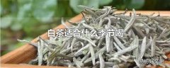 白茶适合什么季节喝