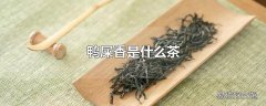 鸭屎香是什么茶