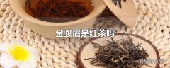 金骏眉是红茶吗