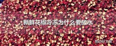 新鲜花椒冷冻为什么要放水