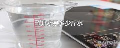 1升水是多少斤水