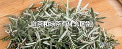 白茶和绿茶有什么区别