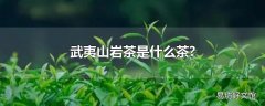 武夷山岩茶是什么茶?