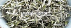 白茶属于绿茶吗?