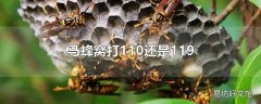 马蜂窝打110还是119