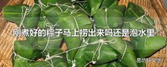 刚煮好的粽子马上捞出来吗还是泡水里