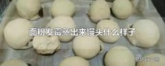 面粉发霉蒸出来馒头什么样子