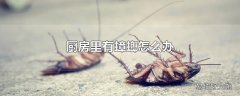 厨房里有蟑螂怎么办