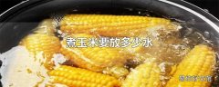 煮玉米要放多少水