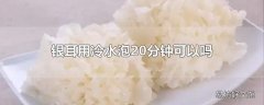 银耳用冷水泡20分钟可以吗