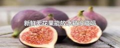 新鲜无花果能放冰箱冷藏吗