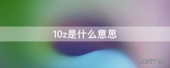 10z是什么意思