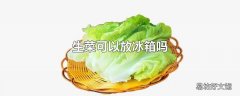 生菜可以放冰箱吗