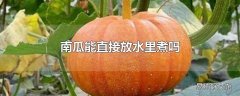 南瓜能直接放水里煮吗