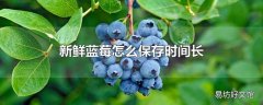 新鲜蓝莓怎么保存时间长