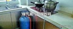 煤气漏气会爆炸吗