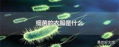 细菌的衣服是什么