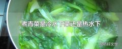 煮青菜是冷水下菜还是热水下