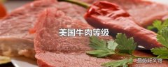 美国牛肉等级