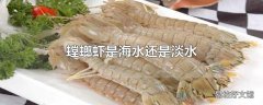 螳螂虾是海水还是淡水