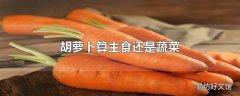 胡萝卜算主食还是蔬菜