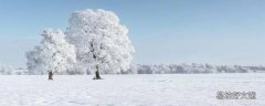 下雪的时候会打雷吗