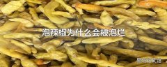 泡辣椒为什么会被泡烂