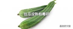 丝瓜没熟有毒吗