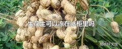 生花生可以冻在冰柜里吗