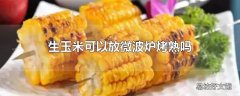 生玉米可以放微波炉烤熟吗