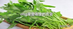 ong菜是哪里的方言