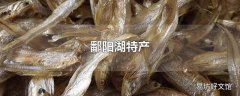 鄱阳湖特产